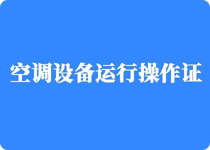 美国日本操屄色色制冷工证